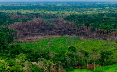 La deforestación se ha concentrado en el noroeste de la Amazonía Colombiana, en Parques Nacionales como Macarena, Tinigua, Picachos y Chiribiquete. Efraín Herrera - Presidencia de Colombia