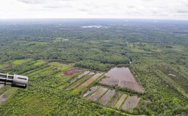 Desde el Congreso nacional se empezaron a escuchar las primeras peticiones al gobierno de Iván Duque para que se retorne a la fumigación aérea. Colprensa