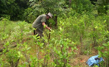 Archivo / La Opinón