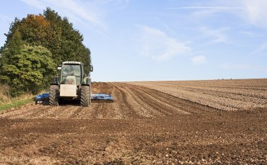 Pixabay / Referencial