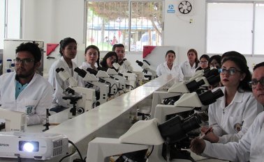 Los pregrados que recibieron la renovación del registro calificado son ingeniería industrial, medicina veterinaria y la licenciatura en humanidades y lengua castellana. Roberto Ospino / La Opinión