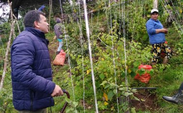 En Cácota se entregó un lote en donde funciona la huerta experimental, para un grupo de cinco mujeres cabeza de familia. Cortesía