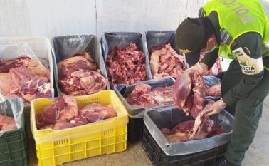 En los primeros seis meses del año está la incautación de más de 85 toneladas de productos cárnicos. Policía Nacional