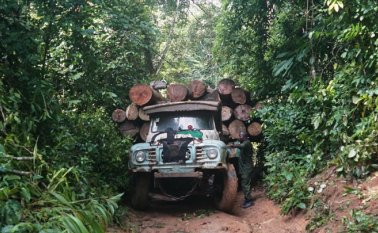 Un hombre está parado al lado de un camión que transporta troncos de madera en el bosque de Omo, un hogar para elefantes, cerca de la aldea de Ose-Eke, al noreste de la ciudad más grande de África. AFP