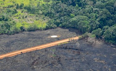Una carretera en medio de bosque quemado en la Amazonía colombiana. Jorge Contreras