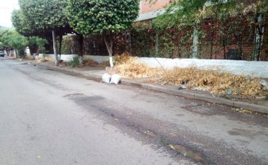 Los residuos vegetales cumplen casi un mes en los alrededores del colegio Mercedes Ábrego. Cortesía