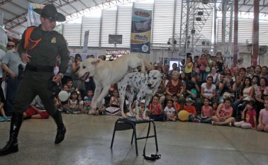 Adiestramiento canino. Archivo