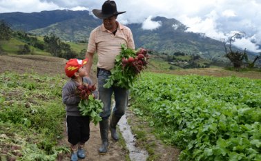 Para vender a este tipo de superficies, los agricultores deben cumplir con ciertos requisitos, el más importante, la calidad. Archivo La Opinión