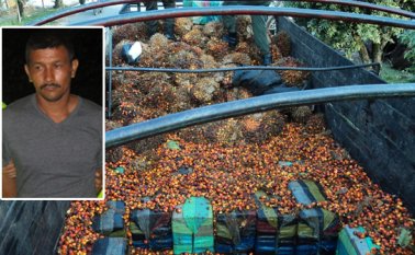 Al inspeccionar la carga, la Policía halló camuflados en su interior 60 bultos. Cada uno, contenía 50 paquetes y capturó a José Alonso Caballero Amado.
Cortesía para La Opinión