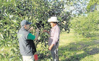 Colprensa