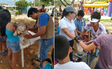 A la fecha unos 165.000 usuarios han recibido atención. Cortesía