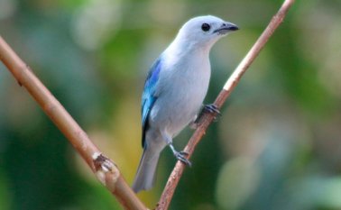 Diego Gelves / grupo Maranatha