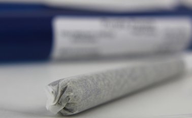 Pixabay / Referencial