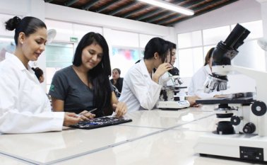 Colombia ocupó la posición 67 entre 129 economías, tuvo una caída de cuatro ubicaciones frente al anterior índice en el que el país se ubicó de 63. Archivo La Opinión