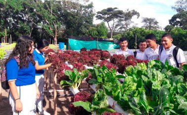 "A los estudiantes les asombró que se pudiera cultivar dentro de tubos suspendidos en el aire, con fluidos acuosos que dan vida a alimentos sanos y libres de agentes químicos". Javier Duarte. Cortesía