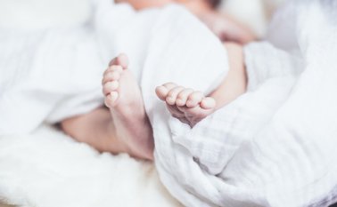 Pixabay / Referencial