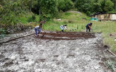 En Chíchira fueron establecidas 11 huertas caseras con hortalizas.
 Cortesía