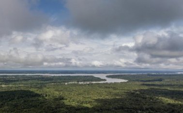 Colombia tiene más de 483.000 kilómetros cuadrados en la Amazonía, que se considera un gran pulmón del mundo. Colprensa