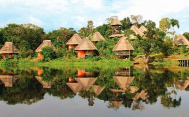 Los incendios forestales en la selva amazónica del norte de Brasil han provocado una tormenta de fuego en las redes sociales, y el presidente Jair Bolsonaro, el 21 de agosto de 2019, sugirió que los grupos ambientalistas iniciaron las llamas.
Internet