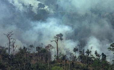 Según la oenegé Greenpeace, el aumento excesivo de la deforestación para la cría de ganado y la siembra de soja, productos demandados por la países de la Unión Europea y China, contribuyen a los incendios que se han vivido en los últimos días. AFP