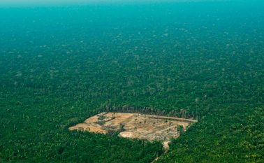 Los agricultores de países como Brasil, Perú, Ecuador y Bolivia talan árboles y queman la tierra para obtener más terrenos agrícolas y áreas para el ganado, provocando con frecuencia incendios incontrolables. AFP