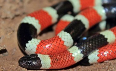 Universidad Nacional de Colombia