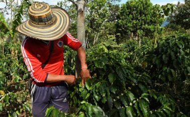 Dos jornadas se realizaron en Tibú. Archivo