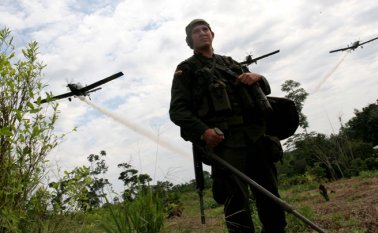 El alto comisionado también resaltó que, de agosto del año pasado a este, la erradicación de hectáreas de coca para uso ilícito va en 98.246. La cifra incluye la erradicación manual con  83.142 hectáreas, la sustitución de cultivos ilícitos con 11.411 hectáreas y 3.693 hectáreas del programa formalizar para sustituir.  Colprensa