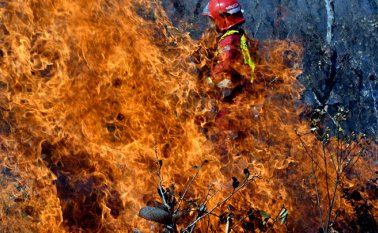 Llegaron a Concepción 53 bomberos voluntarios argentinos. AFP