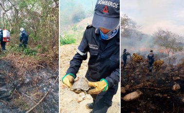 Hay gran preocupación por el alcance que pueda llegar a tener las llamas. Cortesía