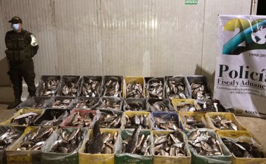 Las autoridades aseguraron que el producto generaba un riesgo para los consumidores, porque no contaba con la cadena de frío adecuada para preservar la calidad.
Policía Nacional