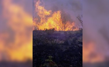 En Ábrego, las autoridades intentaban ayer controlar un incendio que afecta varias veredas, entre ellas, La Sierra, Los Osos, Urama y Los Cedros. Cortesía
