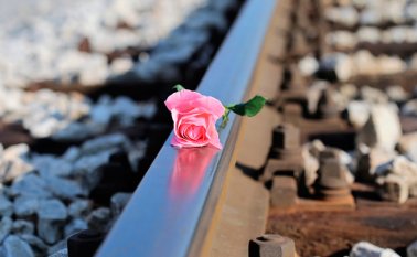 El triple crimen desató una ola de condenas, en un país donde la lucha contra la violencia de género es una cuestión de Estado desde 2004. Pixabay