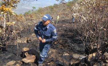 Mario Caicedo/La Opinión