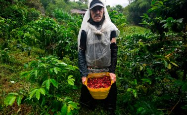 Esta medida modifica el precio de 92,8 a 94 para las compras que realice la FNC a través de las cooperativas y Almacafé. Archivo