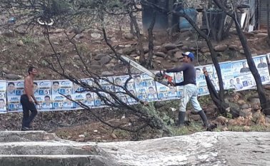 El hecho ocurrió, el pasado viernes 20, en el municipio El Zulia, específicamente en el sector Palo Verde, donde cortaron algunos árboles para hacer visible la publicidad. Cortesía