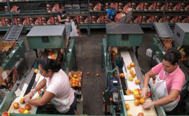 En los supermercados actualmente no hay flexibilidad para contratar por horas.
Archivo