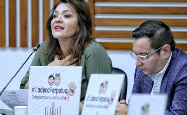 Ahora la iniciativa pasa a la plenaria de la Cámara para su segundo debate. Colprensa