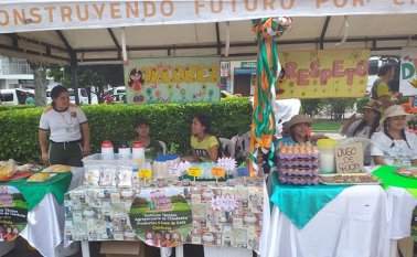 La segunda edición de la feria fue organizada por la Agencia de Cooperación Alemana (GIZ), la Gobernación de Norte de Santander, el Ormet, el Sena y Asohofrucol. Cortesía