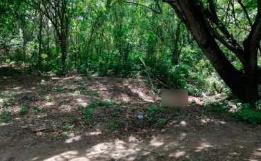 El hecho ocurrió en la vereda Santa Cecilia, en el sector que limita con La Mulata, Venezuela. La Opinión