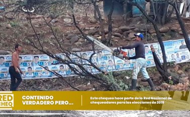 Luis Francisco Pantaleón Ortega, técnico operativo de Corponor dijo que la corporación no puede autorizar, bajo ningún punto de vista, talar árboles o despejarlos severamente para que se vea una valla ni publicitaria política, ni publicitaria comercial. Archivo