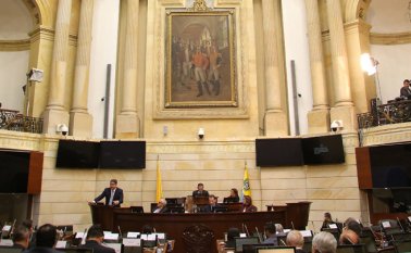 En la plenaria del Senado. Colprensa