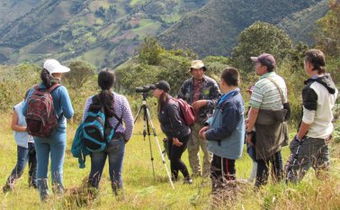 El grupo de avistamiento de Pamplona está conformado por estudiantes, profesionales, niños, jóvenes y adultos apasionados por esta práctica. El Global Big Day se ha convertido en una tradición para miles de eBirders: 24 horas para poner territorio en el escenario global de la observación de aves. Cortesía