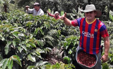 El uso de cultivos agroforestales para producir sombra y la geografía son claves para las cosechas. Cortesía