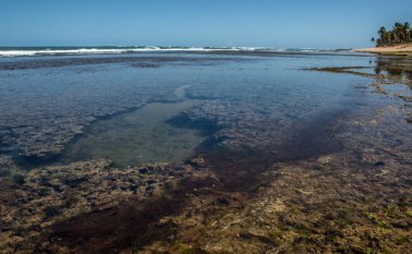 De acuerdo con la agencia ambiental Ibama, las manchas fueron detectadas por primera vez el 2 de setiembre y ya han afectado a 187 localidades ubicadas en los nueve estados del noreste brasileño. AFP