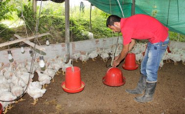 El programa empropaz seleccionará 10 nuevas ideas de negocio para formarlas en conocimiento estratégico y generación de competencias. Archivo La Opinión