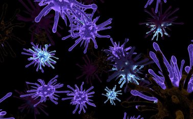 El oncogén KRAS era indestructible debido a su forma esférica y a la ausencia de zonas donde los medicamentos se pudieran adherir a él. Pixebay reference