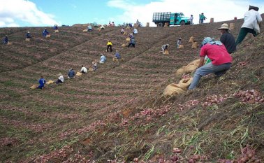 La falta de control del contrabando ha ocasionado grandes pérdidas en municipios como Ábrego, la Playa de Belén, Ocaña, Teorama, San Calixto y El Carmen. Archivo