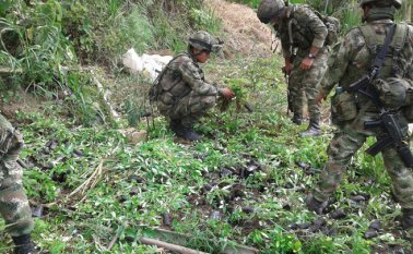 La ‘Dagoberto Ramos’ ya cuenta con un poco más de 110 hombres en armas y otro tanto son milicianos. En la ‘Jaime Martínez’, mientras tanto, son alrededor de 90 sujetos en armas apoyados también por milicianos. Colprensa
