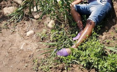 Aunque el cadáver quedó en territorio venezolano miembros de la Brigada Interinstitucional de Homicidios (Brinho), por razones humanitarias, lo trasladaron a las instalaciones de Medicina Legal. Cristian Herrera